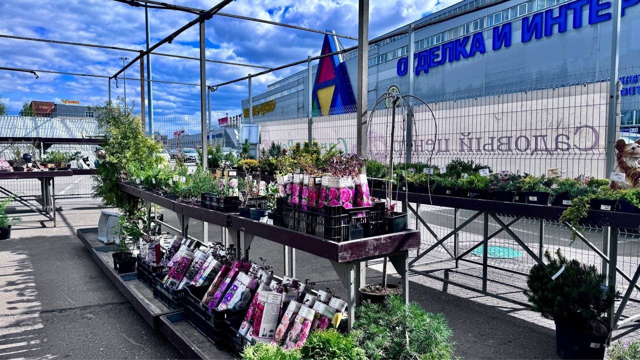 Садовый центр