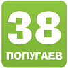 38 попугаев